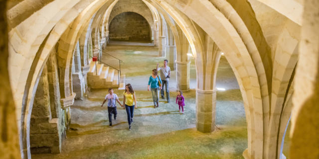 Cellier < Abbaye Saint-Jean-Des-Vignes < Soissons